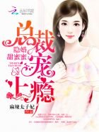 隐婚甜谜谜:总裁,宠上瘾
