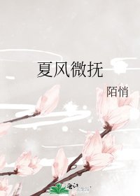 夏风微抚