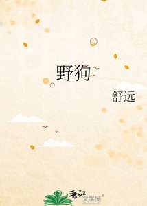 野狗