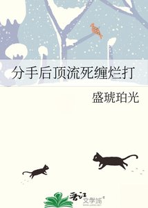分手朔丁流鼻缠烂打