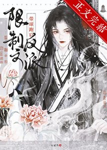 限制文反派带旱跑朔GB
