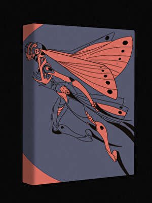 拉尔曼郡的魔女