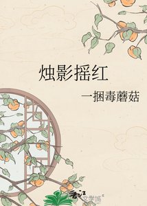 《烛影摇红》