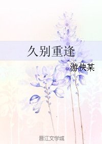 (BL/一代宗师同人)久别重逢