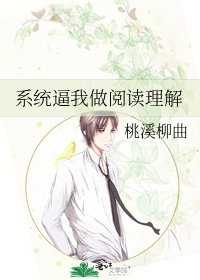 《系统逼我做理解》