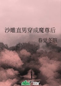 沙雕直男穿成魔尊后