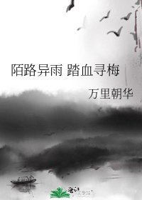 陌路异雨 踏血寻梅