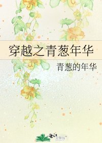 穿越之青葱年华