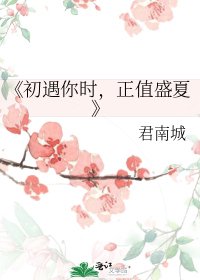 初遇你时,正值盛夏