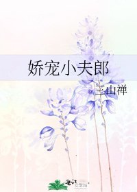《娇宠小夫郎》