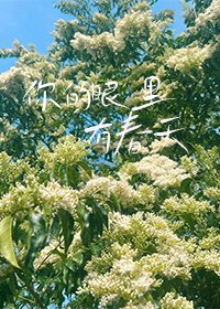 你的眼里有蚊天