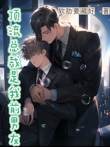 丁流总裁是我谦男友