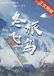 冬旅飞钮