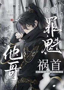 暗衞,兼任禍水他哥