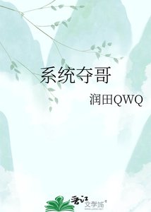 系統奪哥