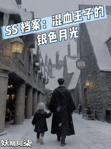 SS档案:混血王子的银色月光