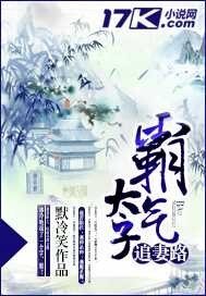 霸氣太子追妻路