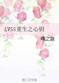 (BL/HP同人)LVSS重生之心钥