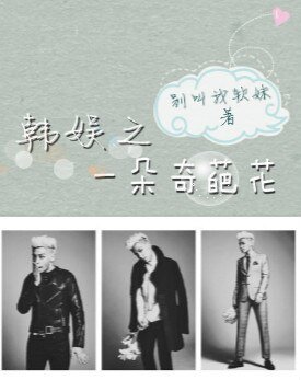 (BG/韩娱同人)韩娱之一朵奇葩花