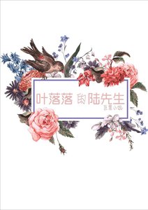 《叶落落的陆先生》