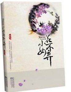 乞丐丫鬟古代寻情记:不弃(网络版)