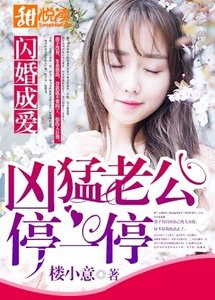 《闪婚成爱:凶猛老公停一停》