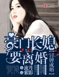 再嫁婚成,豪门总裁高冷情深